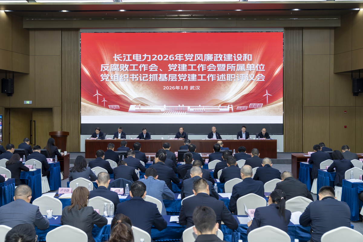 必赢亚州bwin电力召开2026年党风廉政建设和反糜烂事情会、党建事情会暨所属单位党组织书记抓下层党建事情述职评议会